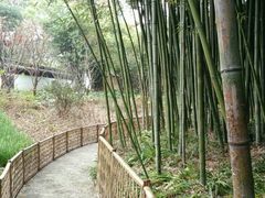 android_upload_pic-汇龙潭