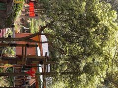 -姑婆山旅游区