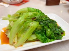 -金鼎轩(方庄天坛店)