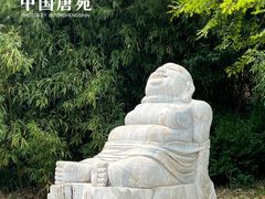 -中国唐苑