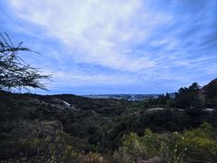 -红山国家森林公园