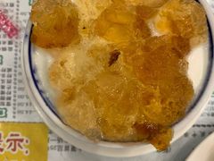 桃胶双皮奶-仁信老铺(华盖路店)