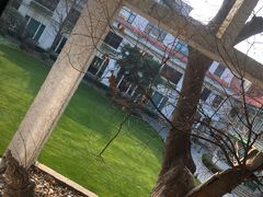 -申粤轩酒楼·三十年粤菜经典(丁香花园店)