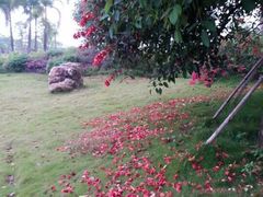 iphone_upload_pic-江滨公园