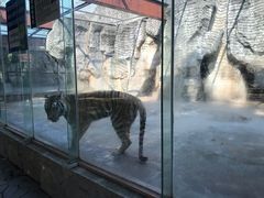 -南昌动物园