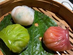 -点都德·毕德寮