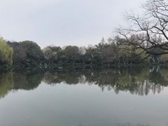 -西湖外事游船(花港观鱼码头)