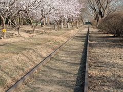 -永定河休闲森林公园