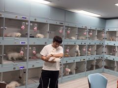 -萌宠之家·腊肠犬·马尔泰·小体犬舍