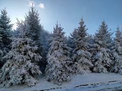 -鳌山滑雪度假区