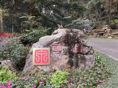 -缙云山景区