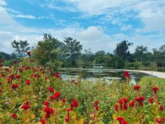 -中国科学院西双版纳热带植物园