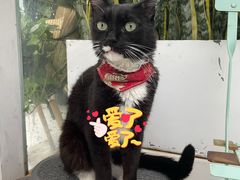 -小时光咖啡馆(北锣鼓巷店)