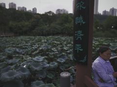 -龙头寺公园