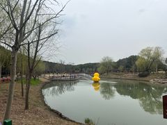 -嘉北郊野公园