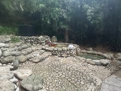 -三江森林温泉度假区