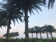 -木屋烧烤(惠阳华润小径湾店)
