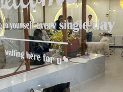 -共舞时光猫咖·狗咖(新街口店)