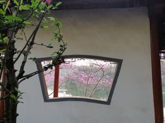 -重庆彩云湖湿地公园