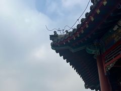 -莲池书院博物馆
