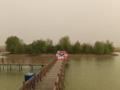 -泗洪洪泽湖湿地景区