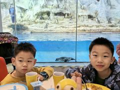 -帝企鹅自助餐厅•儿童岛•真企鹅(长隆企鹅酒店)