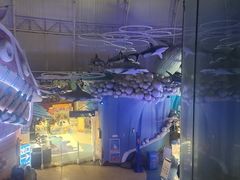 -烟台海昌鲸鲨海洋公园