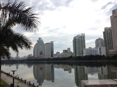 这张图拍的是什么-白鹭洲公园