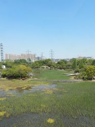 -雅馨国际月子中心