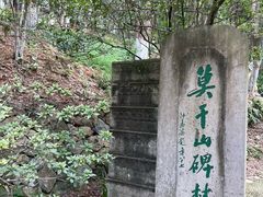 -莫干山风景区