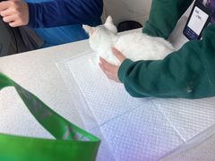 -萌兽医馆·宠物医院·猫骨科(创景店)