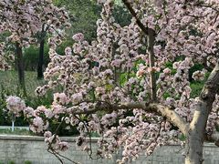 -元大都城垣遗址公园