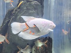 -常州海昌海洋探索馆