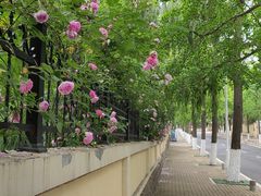 -青岛第三海水浴场