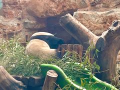 -石家庄市动物园