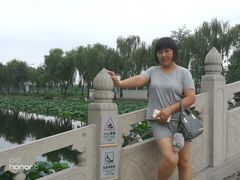 -白洋淀景区
