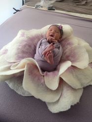 -西瓜庄园儿童摄影