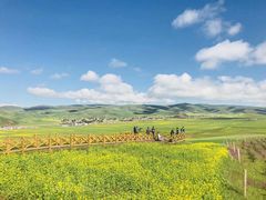 -青海湖国家重点风景名胜区