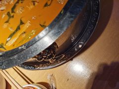 -杨翔豆皮涮牛肚(万和城店)