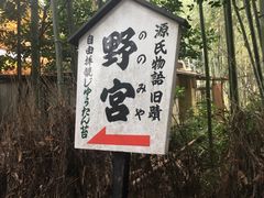 -野宫神社