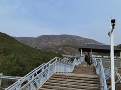 -大青山野生动物园