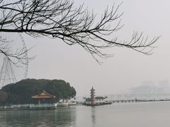 -无锡蠡湖国家湿地公园-蠡园
