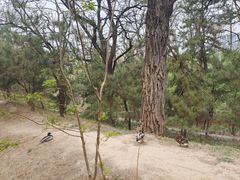 -元大都城垣遗址公园