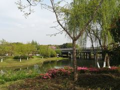 -尚贤河湿地