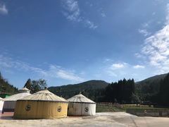 -武陵山森林公园