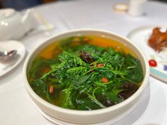 -山泉公馆酒家(珠江新城店)