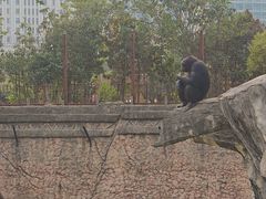 -南昌动物园