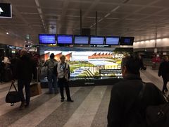 -米兰马尔彭萨国际机场