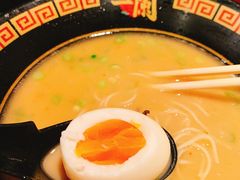 糖心蛋-一兰拉面(新宿中央东口店)