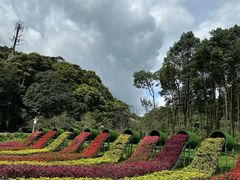 -广州市石门国家森林公园
